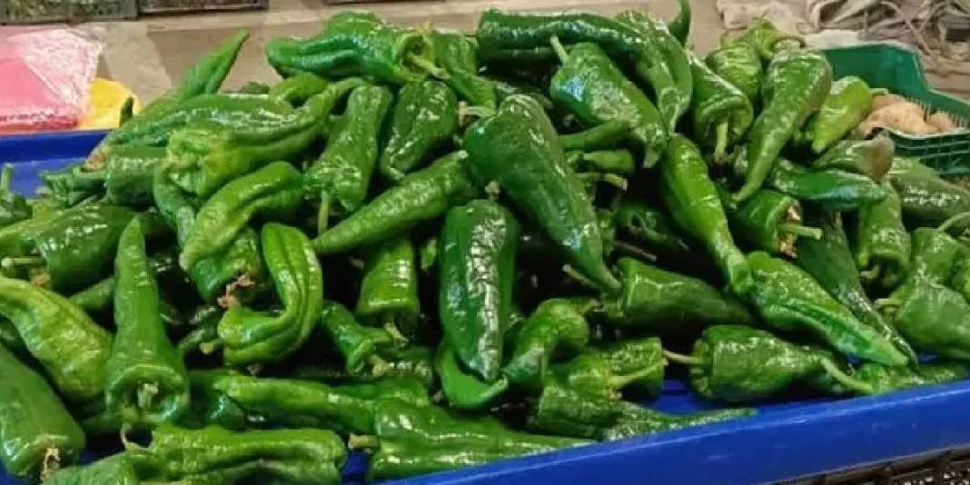 Ata tohumdan üretiliyor, alıcısı çok oluyor! Kilosu 400 TL’den satılıyor 4
